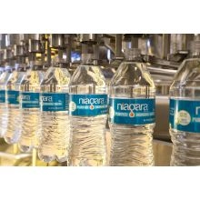 Niagara Purified Water, 16.9-oz Bottle, Bulk - 1