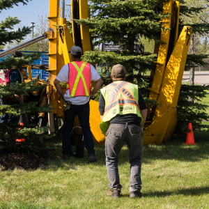 Landscaping - 1