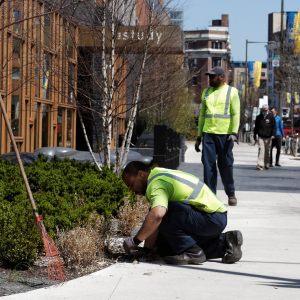 Landscaping - 3